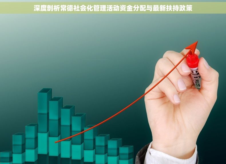 深度剖析常德社会化管理活动资金分配与最新扶持政策