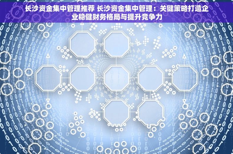 长沙资金集中管理推荐 长沙资金集中管理：关键策略打造企业稳健财务格局与提升竞争力