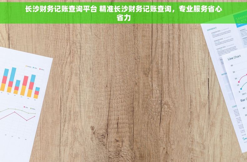 长沙财务记账查询平台 精准长沙财务记账查询，专业服务省心省力