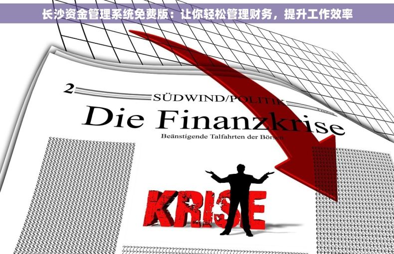 长沙资金管理系统免费版：让你轻松管理财务，提升工作效率