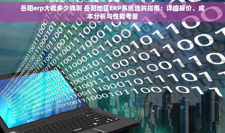 岳阳erp大概多少钱啊 岳阳地区ERP系统选购指南：详细报价、成本分析与性能考量