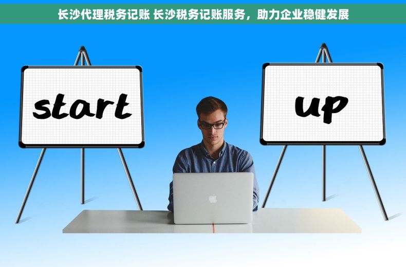 长沙代理税务记账 长沙税务记账服务，助力企业稳健发展