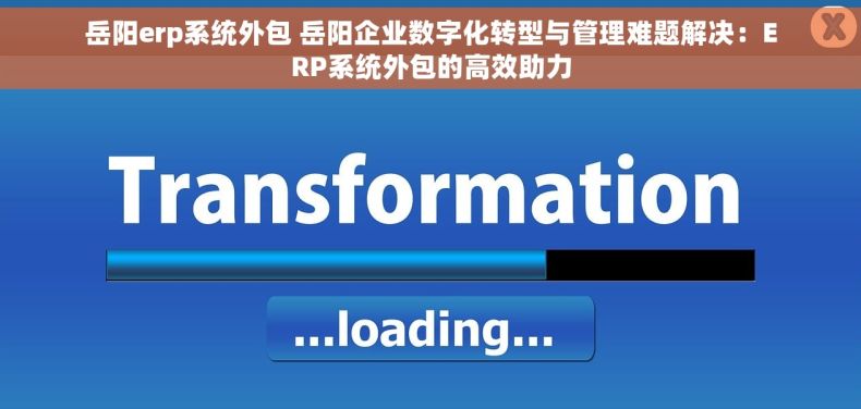 岳阳erp系统外包 岳阳企业数字化转型与管理难题解决：ERP系统外包的高效助力