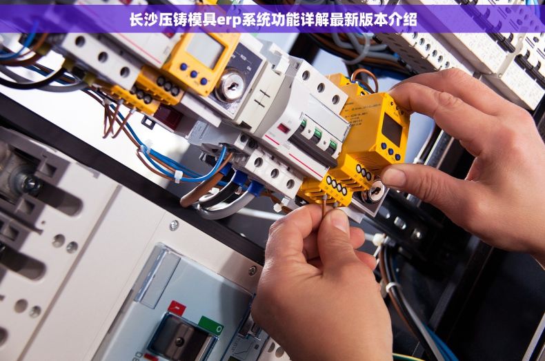 长沙压铸模具erp系统功能详解最新版本介绍