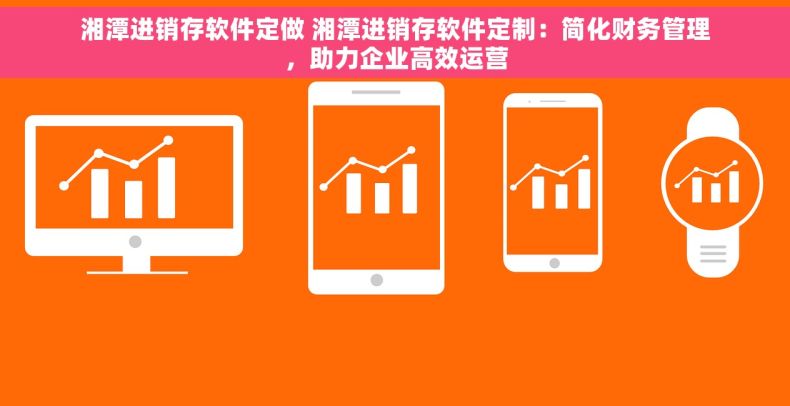 湘潭进销存软件定做 湘潭进销存软件定制：简化财务管理，助力企业高效运营