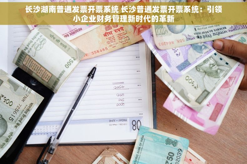 长沙湖南普通发票开票系统 长沙普通发票开票系统：引领小企业财务管理新时代的革新