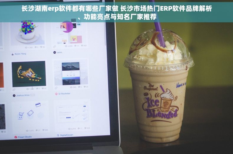 长沙湖南erp软件都有哪些厂家做 长沙市场热门ERP软件品牌解析、功能亮点与知名厂家推荐