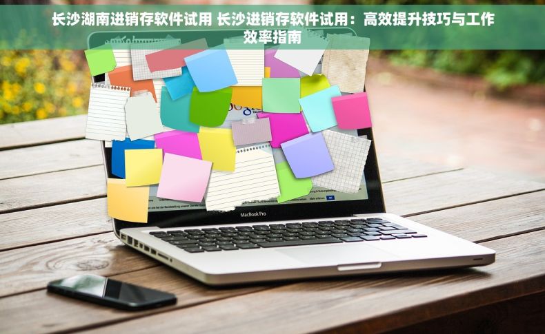 长沙湖南进销存软件试用 长沙进销存软件试用：高效提升技巧与工作效率指南