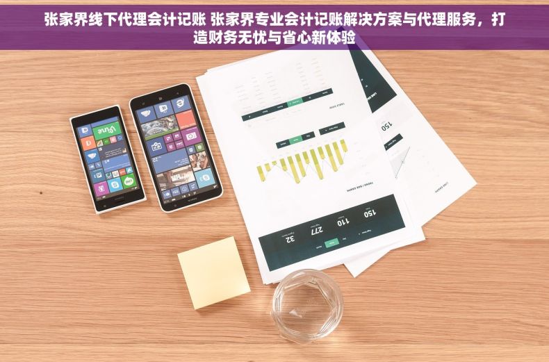 张家界线下代理会计记账 张家界专业会计记账解决方案与代理服务，打造财务无忧与省心新体验