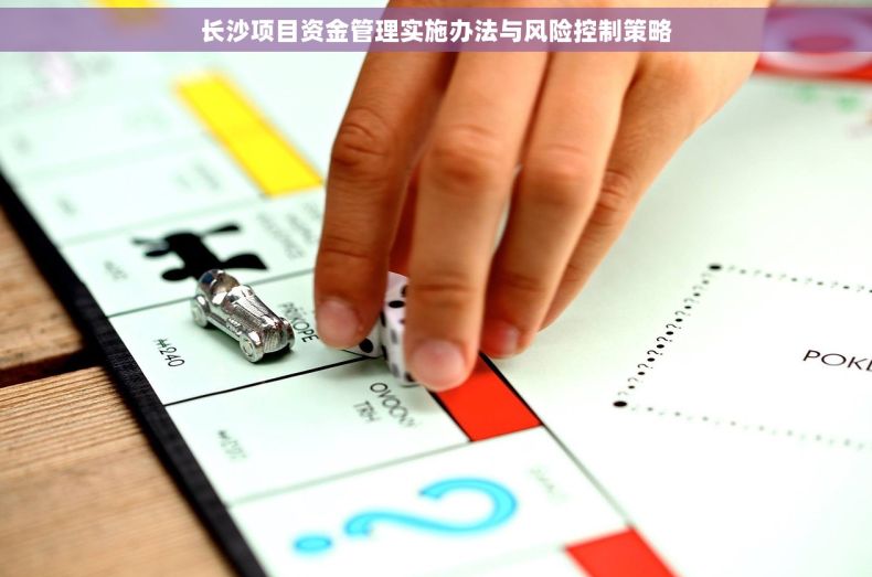 长沙项目资金管理实施办法与风险控制策略