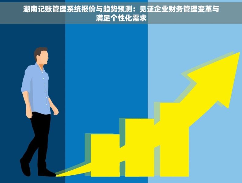 湖南记账管理系统报价与趋势预测：见证企业财务管理变革与满足个性化需求