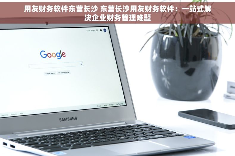 用友财务软件东营长沙 东营长沙用友财务软件：一站式解决企业财务管理难题