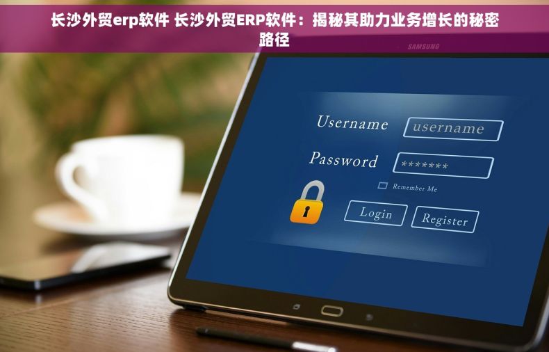长沙外贸erp软件 长沙外贸ERP软件：揭秘其助力业务增长的秘密路径