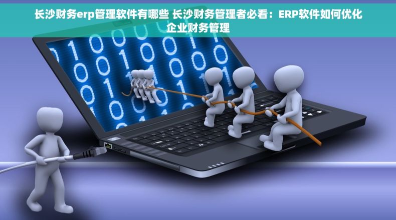 长沙财务erp管理软件有哪些 长沙财务管理者必看：ERP软件如何优化企业财务管理