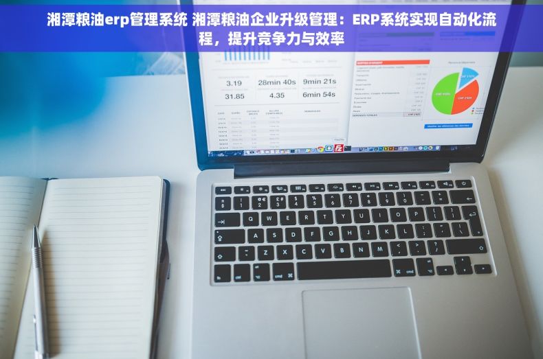 湘潭粮油erp管理系统 湘潭粮油企业升级管理：ERP系统实现自动化流程，提升竞争力与效率