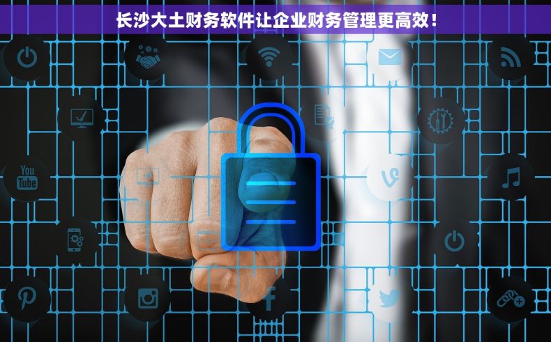 长沙大土财务软件让企业财务管理更高效！