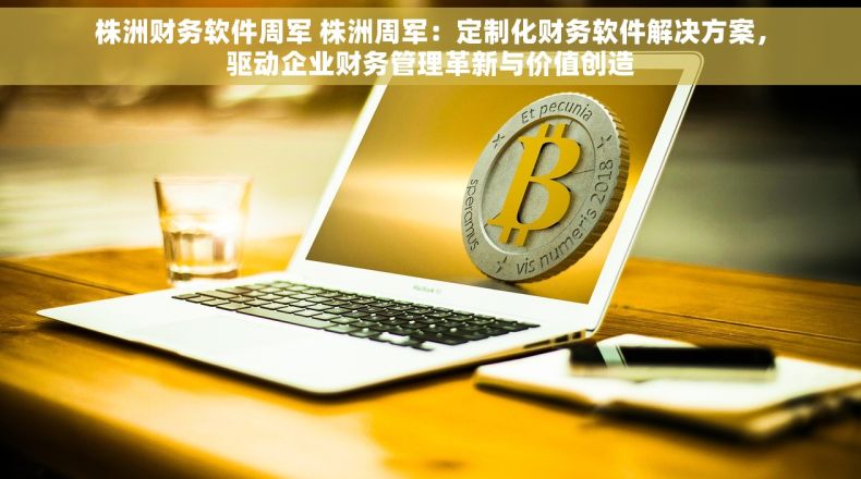 株洲财务软件周军 株洲周军：定制化财务软件解决方案，驱动企业财务管理革新与价值创造