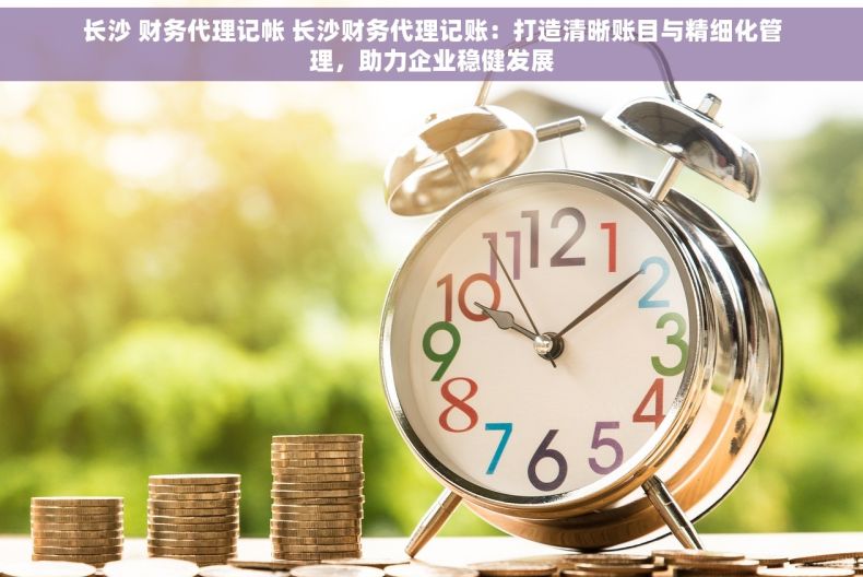 长沙 财务代理记帐 长沙财务代理记账：打造清晰账目与精细化管理，助力企业稳健发展