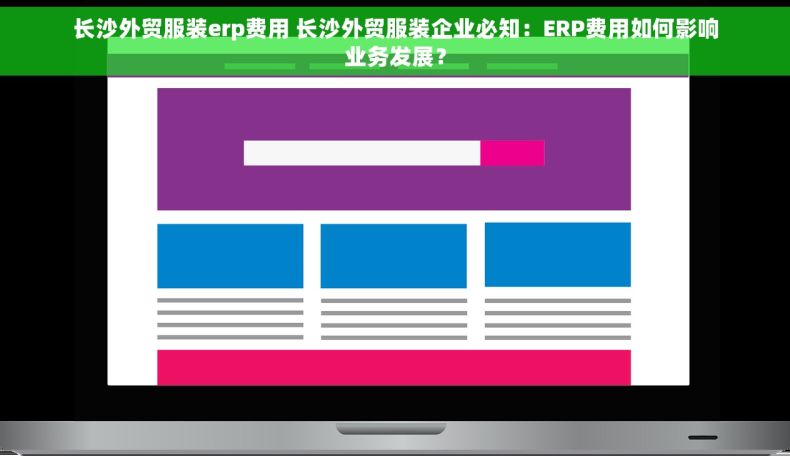 长沙外贸服装erp费用 长沙外贸服装企业必知：ERP费用如何影响业务发展？