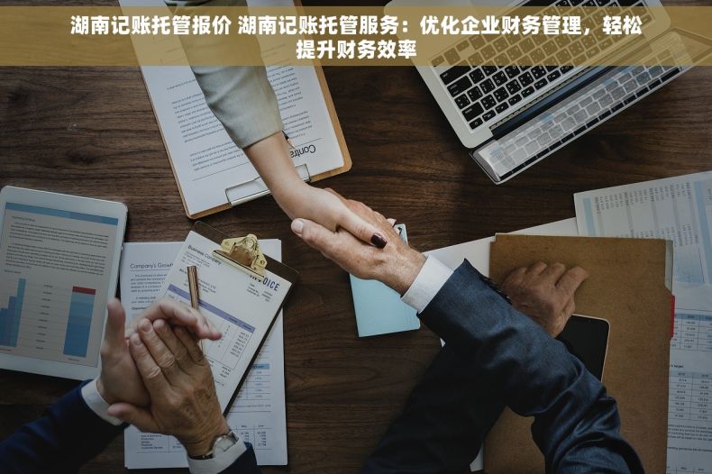 湖南记账托管报价 湖南记账托管服务：优化企业财务管理，轻松提升财务效率