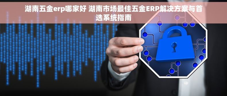 湖南五金erp哪家好 湖南市场最佳五金ERP解决方案与首选系统指南