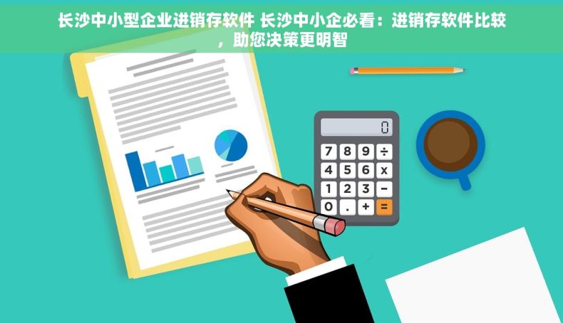 长沙中小型企业进销存软件 长沙中小企必看：进销存软件比较，助您决策更明智