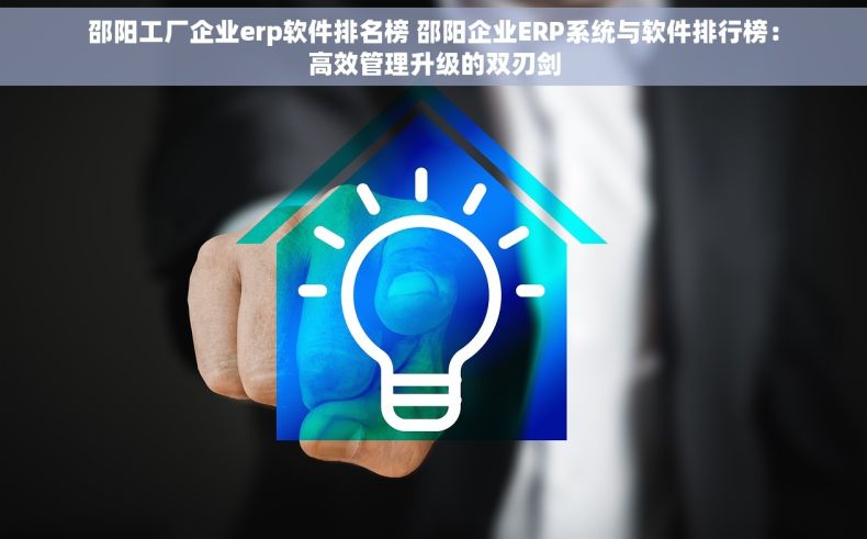 邵阳工厂企业erp软件排名榜 邵阳企业ERP系统与软件排行榜：高效管理升级的双刃剑