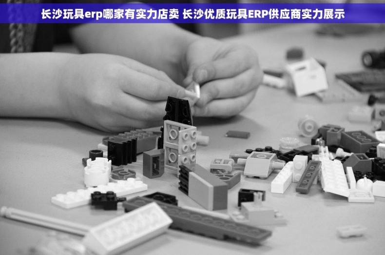 长沙玩具erp哪家有实力店卖 长沙优质玩具ERP供应商实力展示