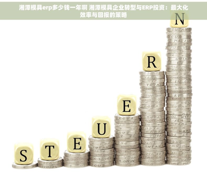 湘潭模具erp多少钱一年啊 湘潭模具企业转型与ERP投资：最大化效率与回报的策略