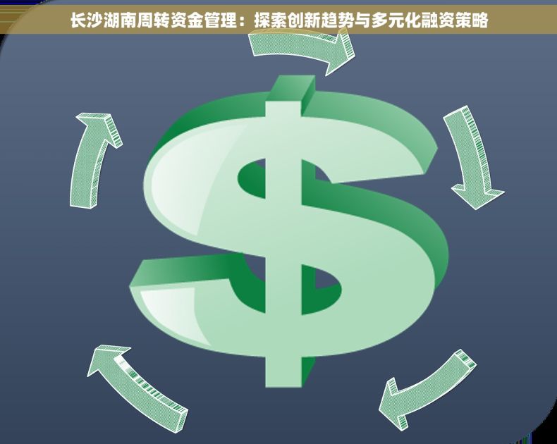 长沙湖南周转资金管理：探索创新趋势与多元化融资策略
