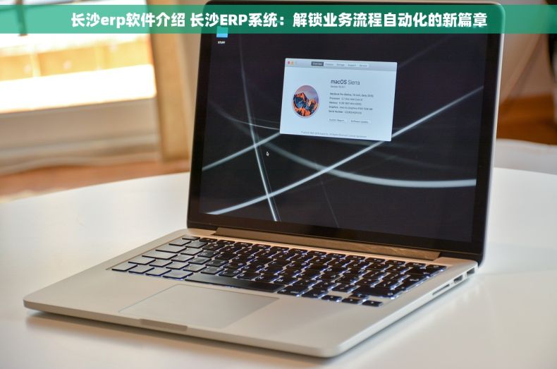 长沙erp软件介绍 长沙ERP系统：解锁业务流程自动化的新篇章