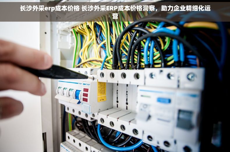 长沙外采erp成本价格 长沙外采ERP成本价格洞察，助力企业精细化运营