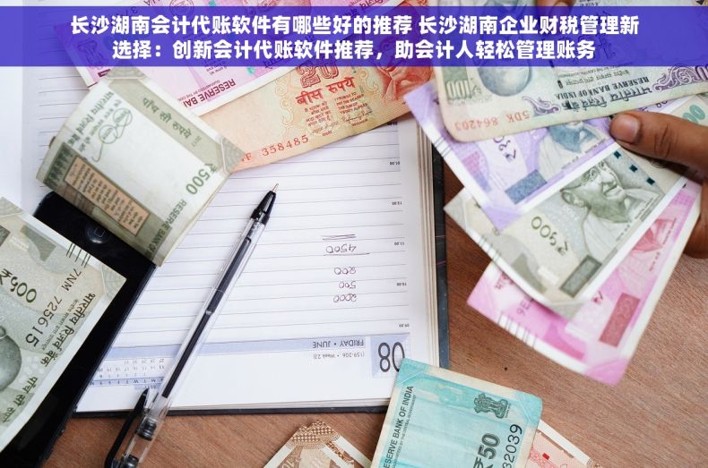 长沙湖南会计代账软件有哪些好的推荐 长沙湖南企业财税管理新选择：创新会计代账软件推荐，助会计人轻松管理账务