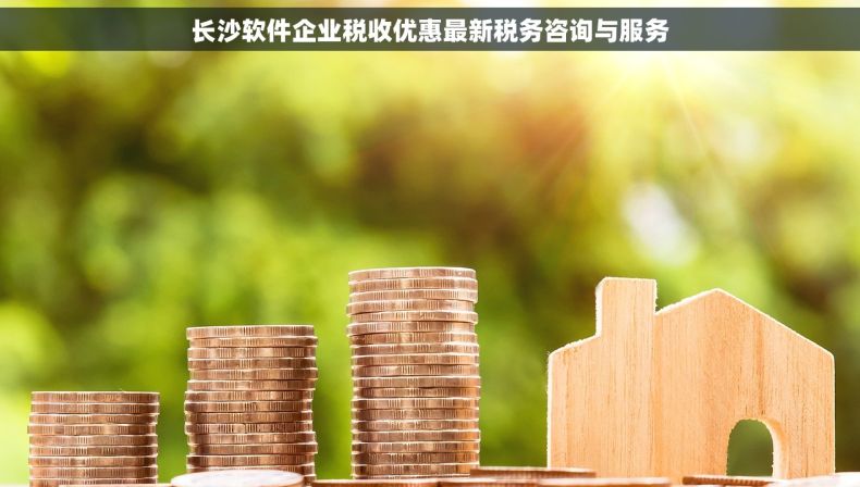 长沙软件企业税收优惠最新税务咨询与服务