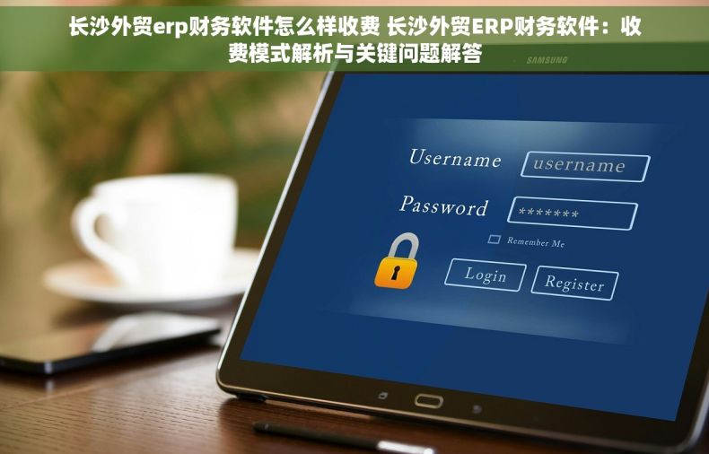 长沙外贸erp财务软件怎么样收费 长沙外贸ERP财务软件：收费模式解析与关键问题解答