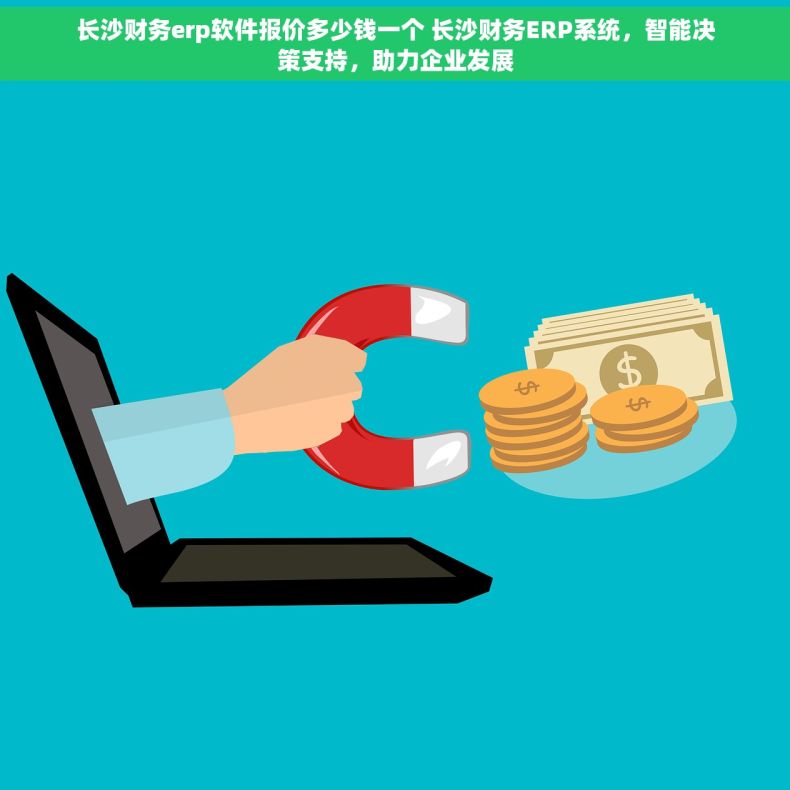 长沙财务erp软件报价多少钱一个 长沙财务ERP系统，智能决策支持，助力企业发展