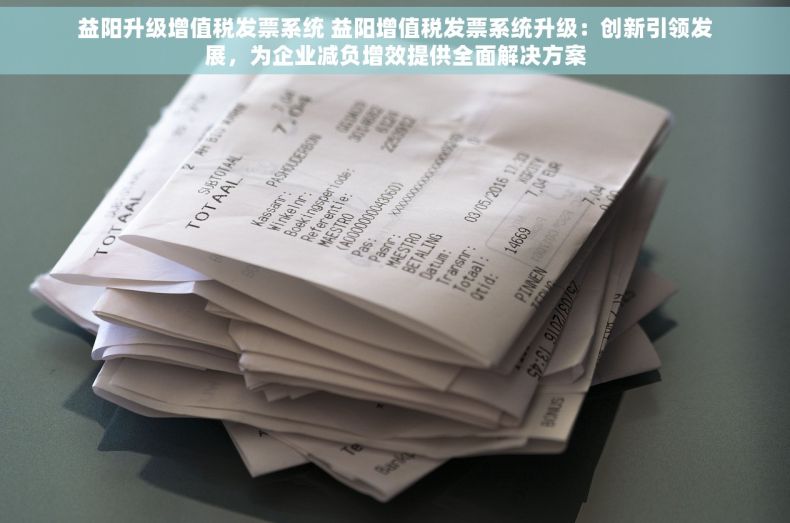 益阳升级增值税发票系统 益阳增值税发票系统升级：创新引领发展，为企业减负增效提供全面解决方案