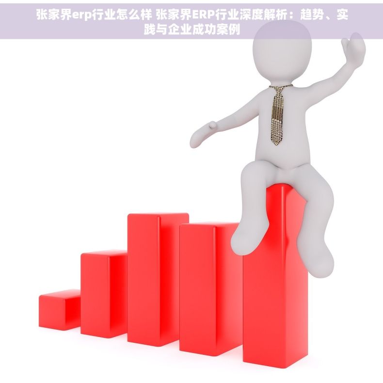 张家界erp行业怎么样 张家界ERP行业深度解析：趋势、实践与企业成功案例
