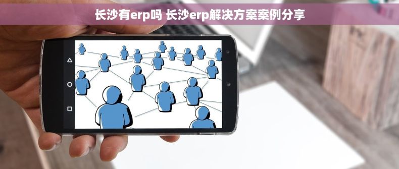 长沙有erp吗 长沙erp解决方案案例分享