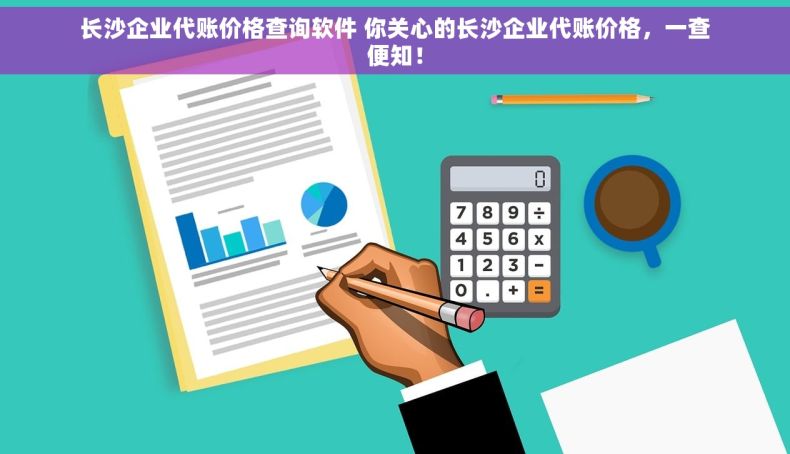 长沙企业代账价格查询软件 你关心的长沙企业代账价格，一查便知！