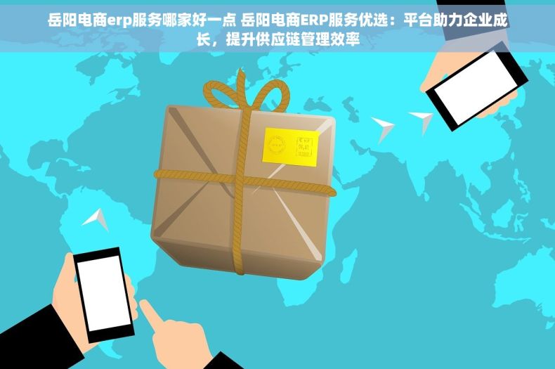 岳阳电商erp服务哪家好一点 岳阳电商ERP服务优选：平台助力企业成长，提升供应链管理效率