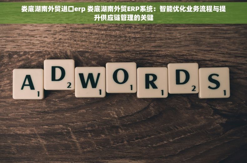 娄底湖南外贸进口erp 娄底湖南外贸ERP系统：智能优化业务流程与提升供应链管理的关键