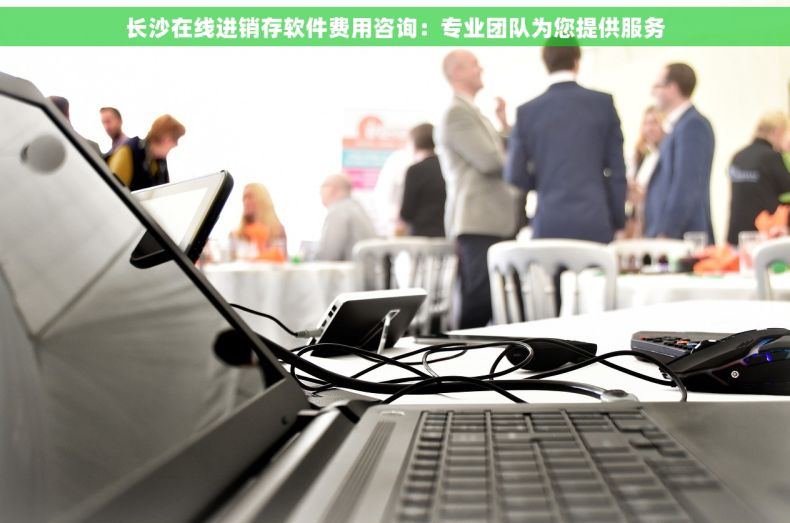 长沙在线进销存软件费用咨询：专业团队为您提供服务