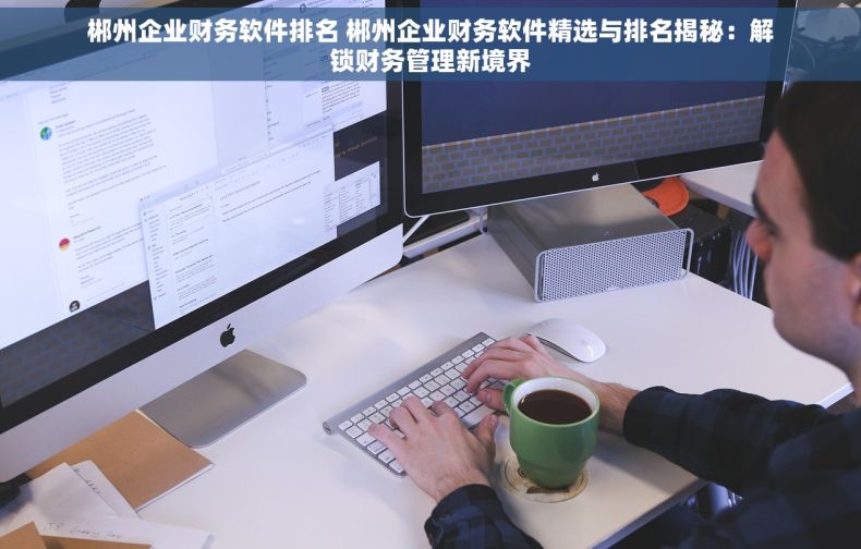 郴州企业财务软件排名 郴州企业财务软件精选与排名揭秘：解锁财务管理新境界