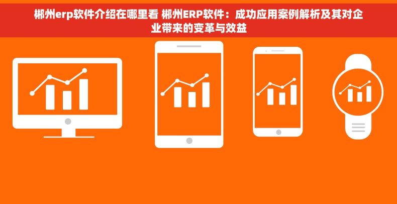 郴州erp软件介绍在哪里看 郴州ERP软件：成功应用案例解析及其对企业带来的变革与效益