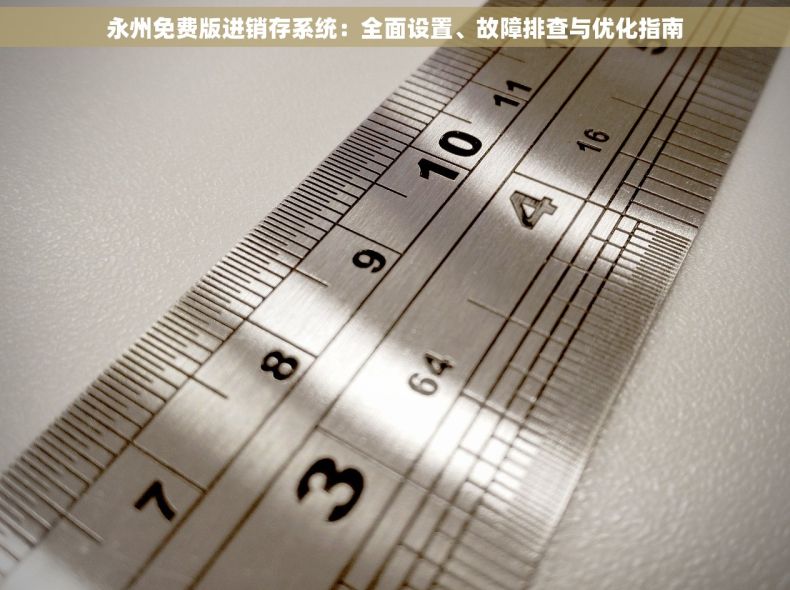 永州免费版进销存系统：全面设置、故障排查与优化指南