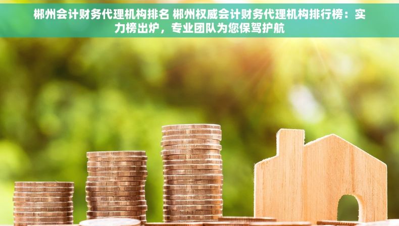 郴州会计财务代理机构排名 郴州权威会计财务代理机构排行榜：实力榜出炉，专业团队为您保驾护航
