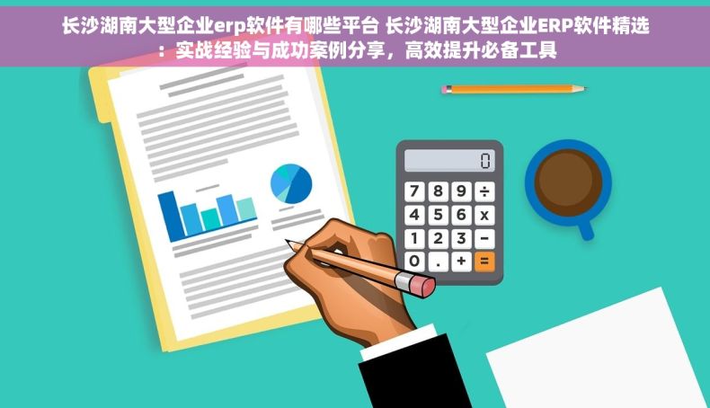 长沙湖南大型企业erp软件有哪些平台 长沙湖南大型企业ERP软件精选：实战经验与成功案例分享，高效提升必备工具