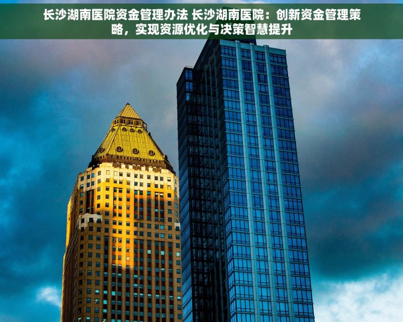 长沙湖南医院资金管理办法 长沙湖南医院：创新资金管理策略，实现资源优化与决策智慧提升