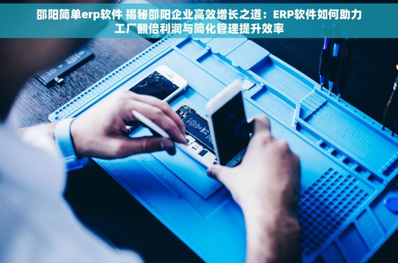 邵阳简单erp软件 揭秘邵阳企业高效增长之道：ERP软件如何助力工厂翻倍利润与简化管理提升效率